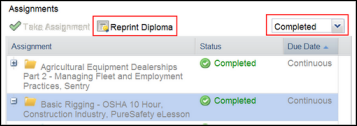 Reprint Diploma 